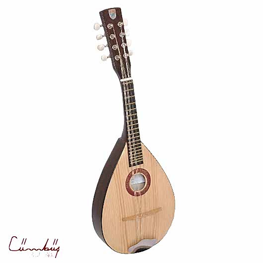 Zeynel Abidin Cümbüş MND100 Mandolin
