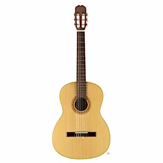 Manuel Rodriguez C10-KIT Klasik Gitar