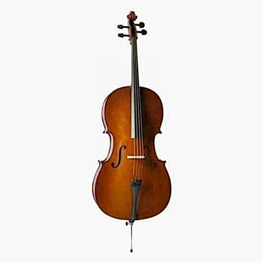 Valencia CE160G44 Tam Boy Cello