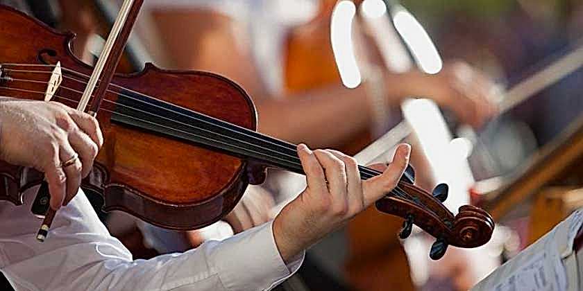 Keman türlerinin en kalın sesli olanı hangisi?